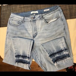 Judy Blue Skinny Jean